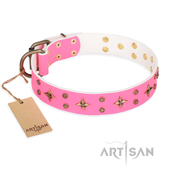 Exquisite genuine leather dog collar for walking