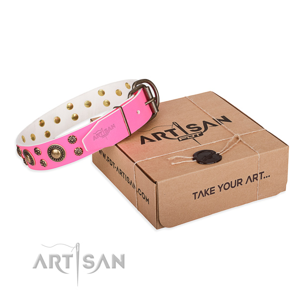 Natural genuine leather dog collar with adornments for everyday walking