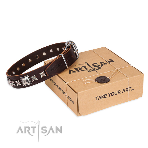 Adorned full grain genuine leather dog collar for daily walking