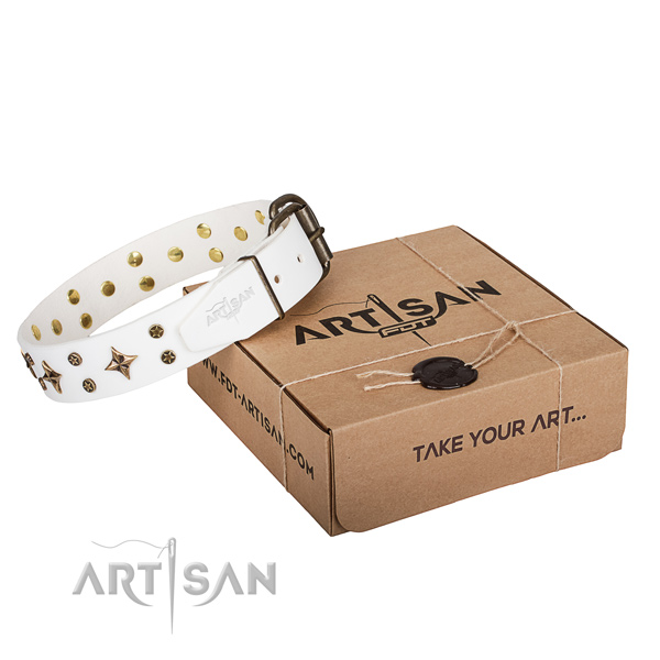 Adorned full grain natural leather dog collar for everyday use