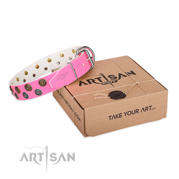 Decorated leather dog collar for daily use