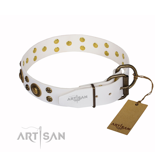 Amazing full grain leather dog collar for daily walking