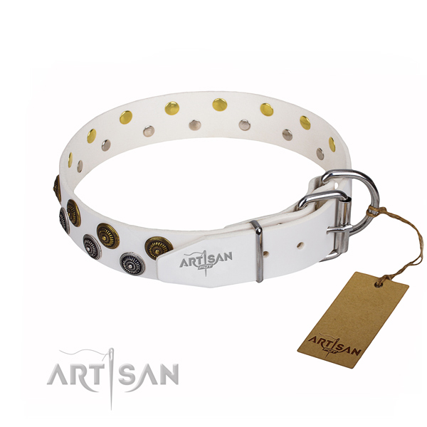 Everyday walking genuine leather collar with studs for your four-legged friend