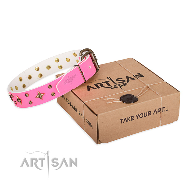Embellished full grain genuine leather dog collar for walking