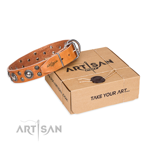 Designer natural genuine leather dog collar for walking