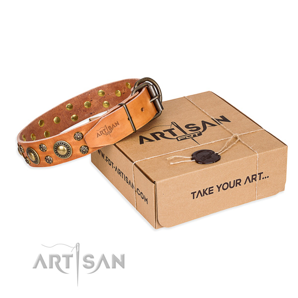 Full grain leather dog collar with studs for daily use