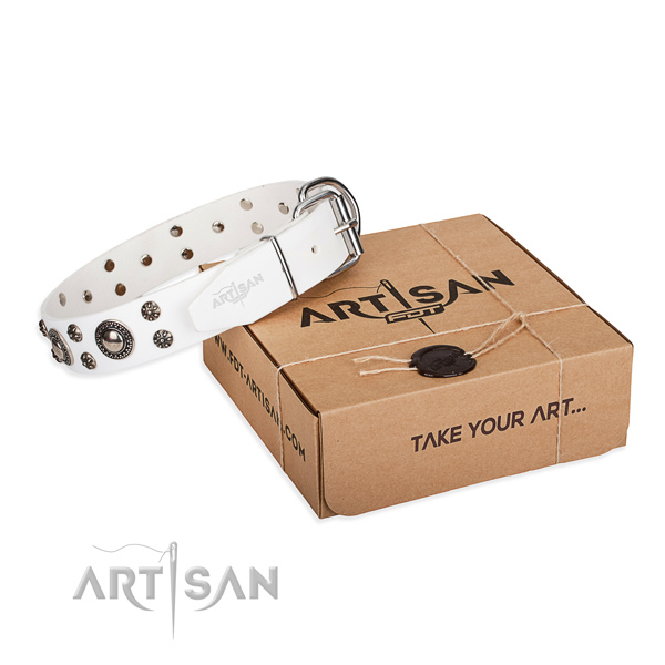 Designer full grain genuine leather dog collar for walking