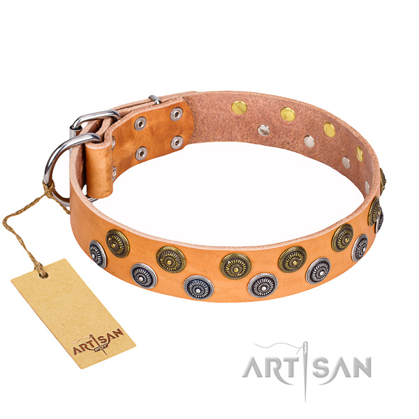 Exquisite full grain genuine leather dog collar for everyday walking