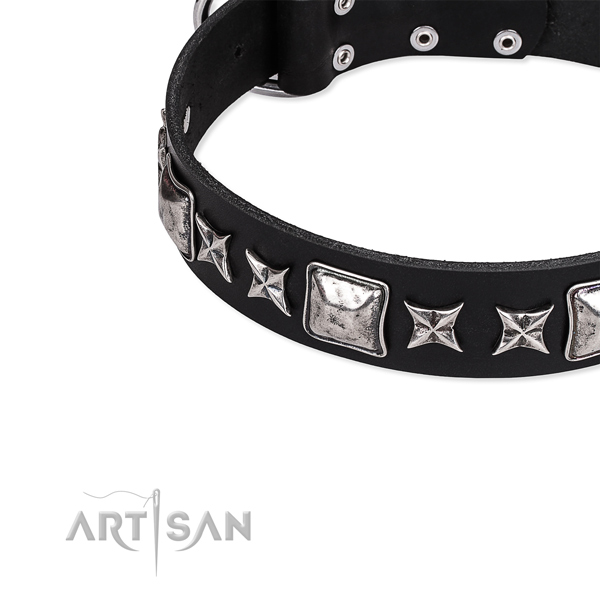 Natural genuine leather dog collar with adornments for daily use