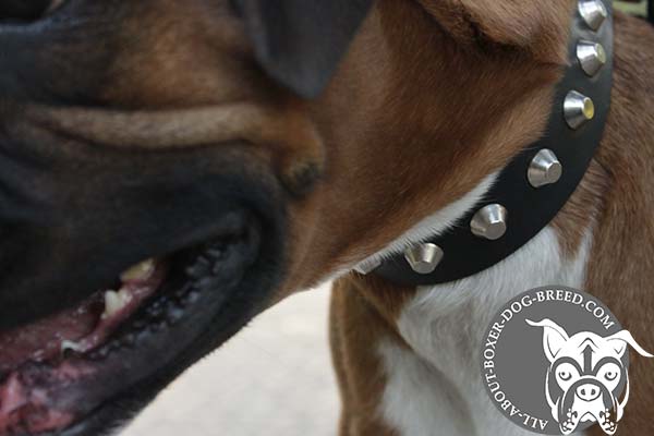 Wide Leather Collar for Walking in Style 