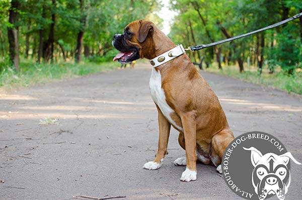 Adjustable White Leather Collar for Boxer