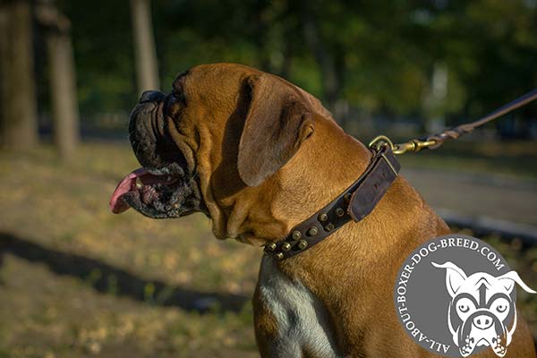 Adjustable Leather Boxer for Walking