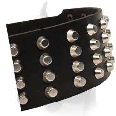 2 Inches Wide Leather Collar for Boxer