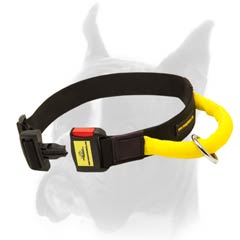 Black as night Dog Collar