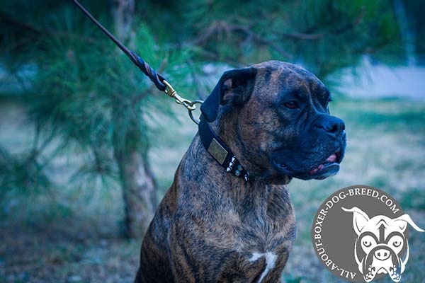 Leather Dog Collar with Spikes and Plates for Boxer
