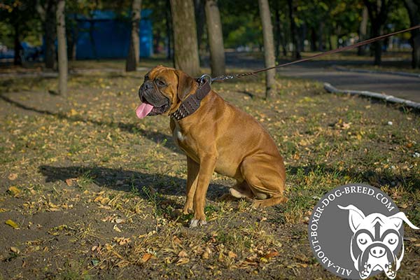 Stylish Wide Leather Boxer Collar