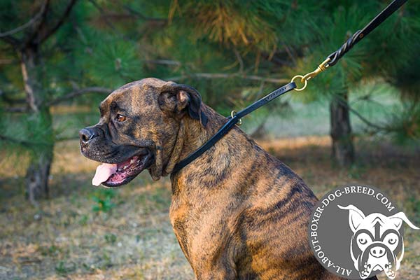 Leather Boxer Choke Collar for Walking and Training