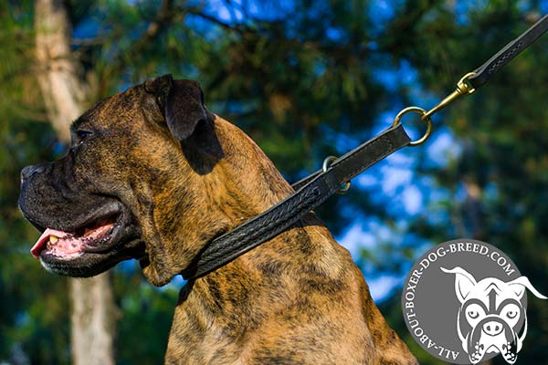 Splendid Leather Boxer Collar Decorated with Braids