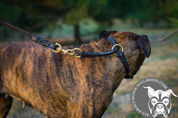 Round Leather Boxer Choke Collar with Rust Proof Rings