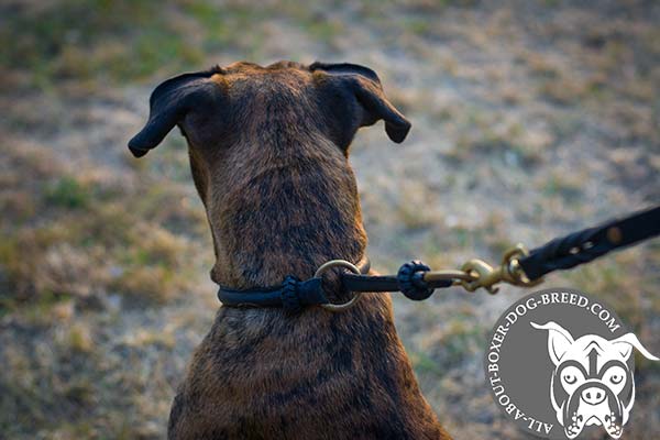 Sturdy Leather Boxer Choke Collar with Rustless Rings