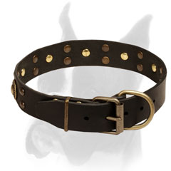 Stylish Leather Boxer Collar Studded