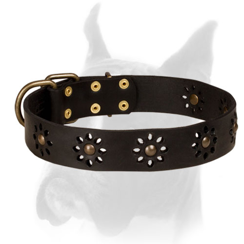 Adorned Leather Black Collar