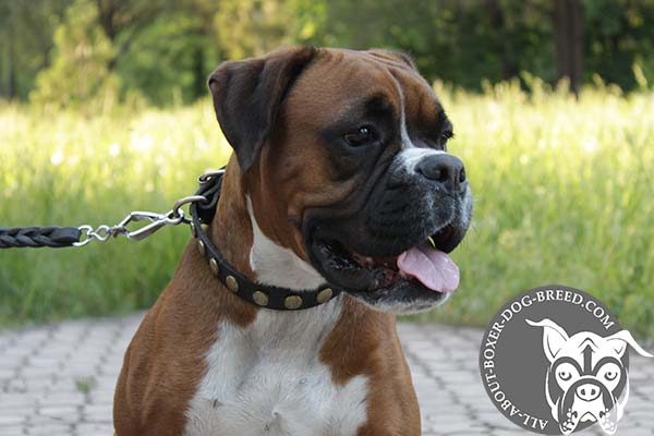 Leather Boxer Collar Decorated with Circles