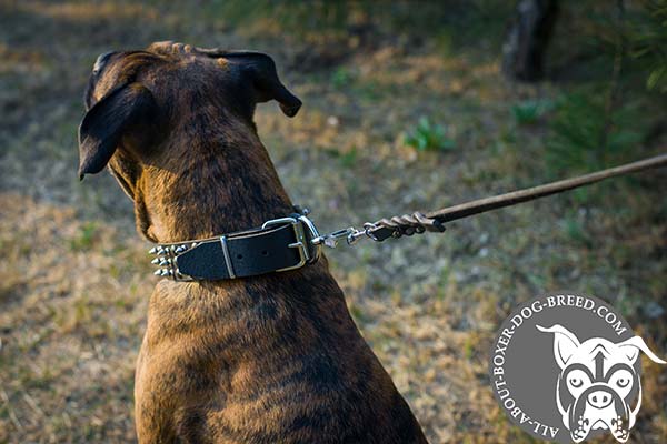 Leather Boxer Collar with Buckle for Quick Fixation