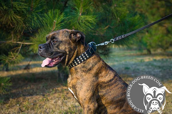 Leather Boxer Collar with 3 Rows of Pyramids