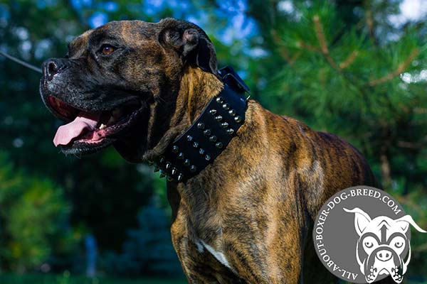 Multifunctional Leather Boxer Collar