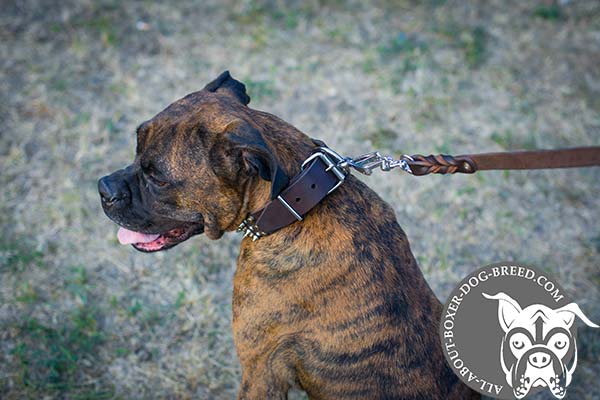 Leather Boxer Collar with Buckle for Easy Adjustment