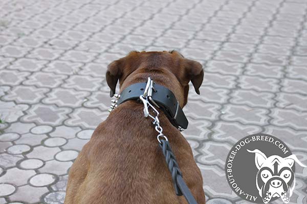 Leather Boxer Collar with Strong Hardware 