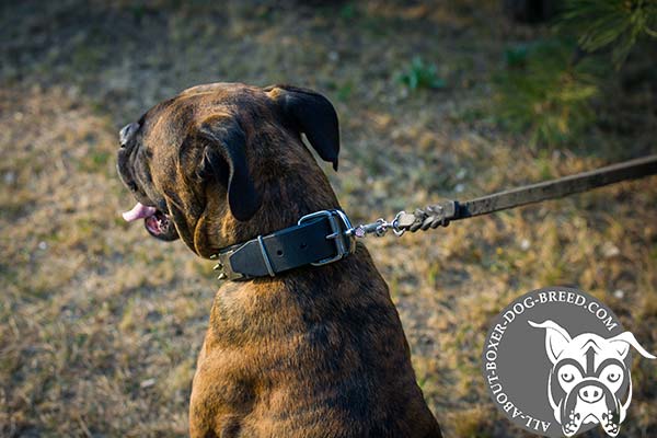 Leather Collar with Reliable Hardware for Boxer