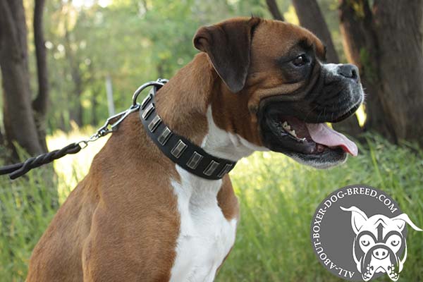 Leather Boxer Collar Decorated with Plates