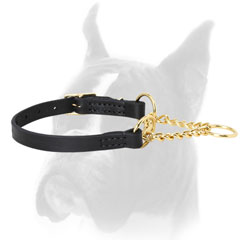 Brass and Leather Martingale Collar