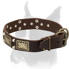 Stylish Boxer leather collar
