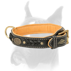 Luxury decorated leather Boxer collar with brass medallion and braids