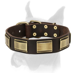 Luxury style leather Boxer collar with old style brass plates