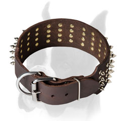 Nickel hardware and rivets for Boxer collar