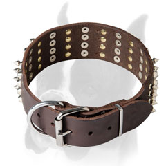 Nickel hardware and rivets for Boxer collar