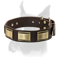 Super strong brass fittings for Boxer leather collar