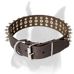 Rust resistant nickel hardware for Boxer collar