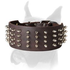 4 rows of spikes for Boxer collar