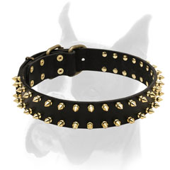 Wide, comfy leather Boxer collar with corrosion resistant brass hardware