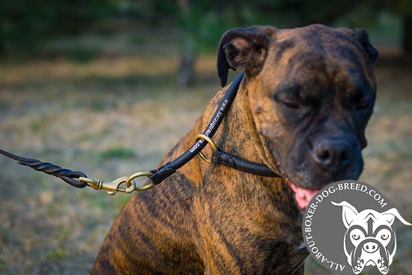 Extra Strong Leather Boxer Choke Collar