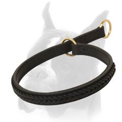 Super Elegant Boxer Collar