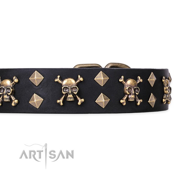 Daily leather dog collar for easy walking