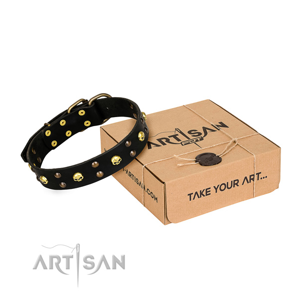 Hardwearing leather dog collar with rust-resistant fittings