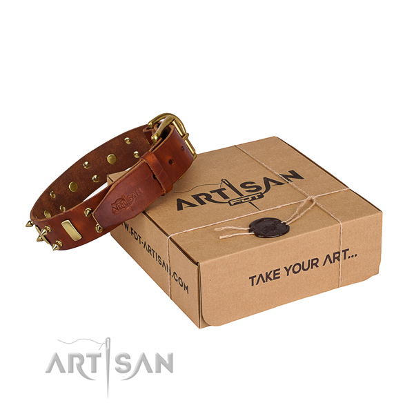 Day-to-day leather dog collar with incredible adornments