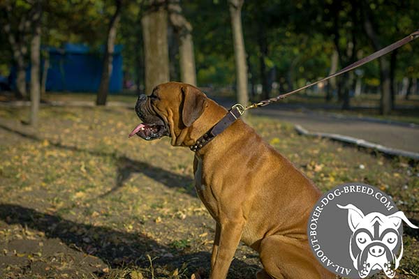 Leather Decorated Brass Studs Boxer Collar